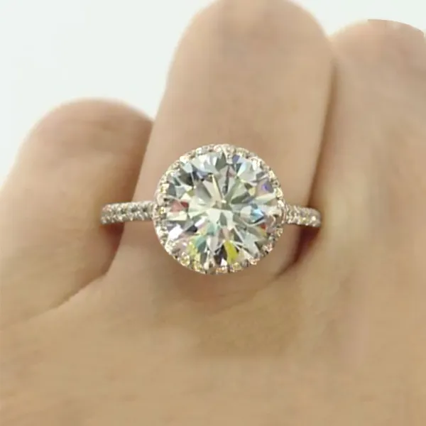 White Gold Lovely Engagement Ring jewelry windy city