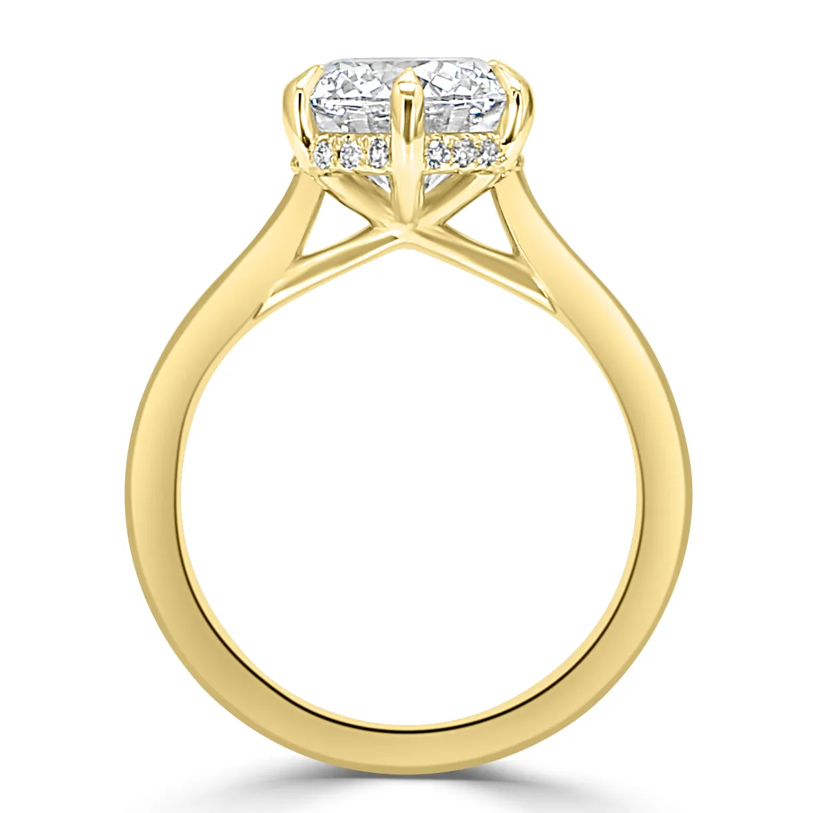 Yellow Gold Solitaire Hidden Halo Engagement Ring jewelry store near me
