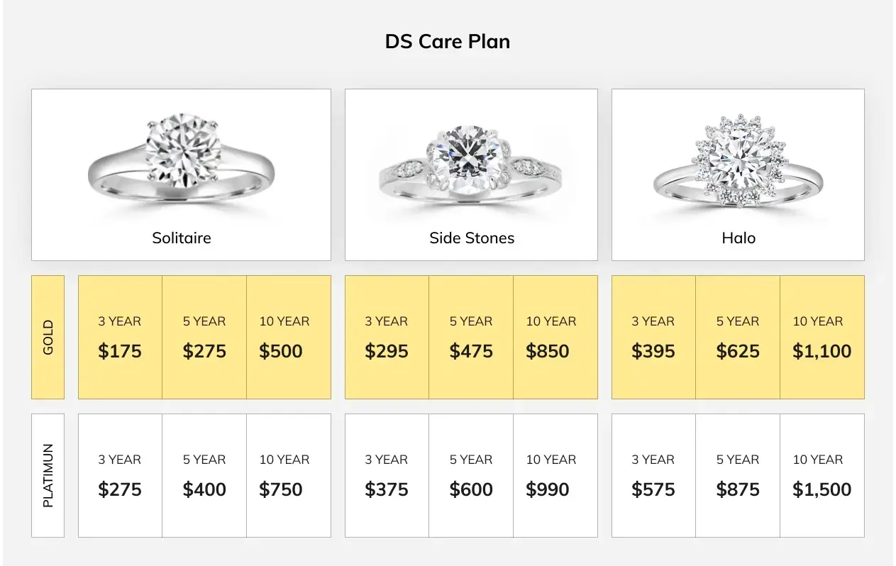 ds care service plan